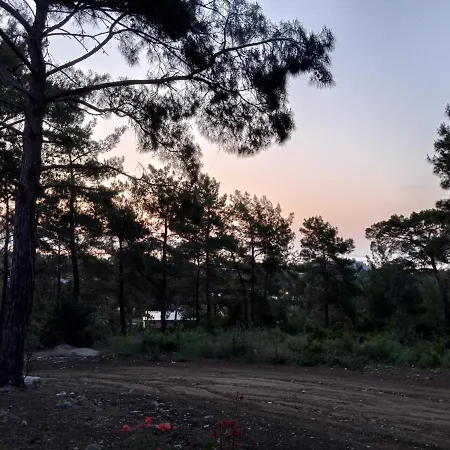 Seyirtepe Evleri * Antalya